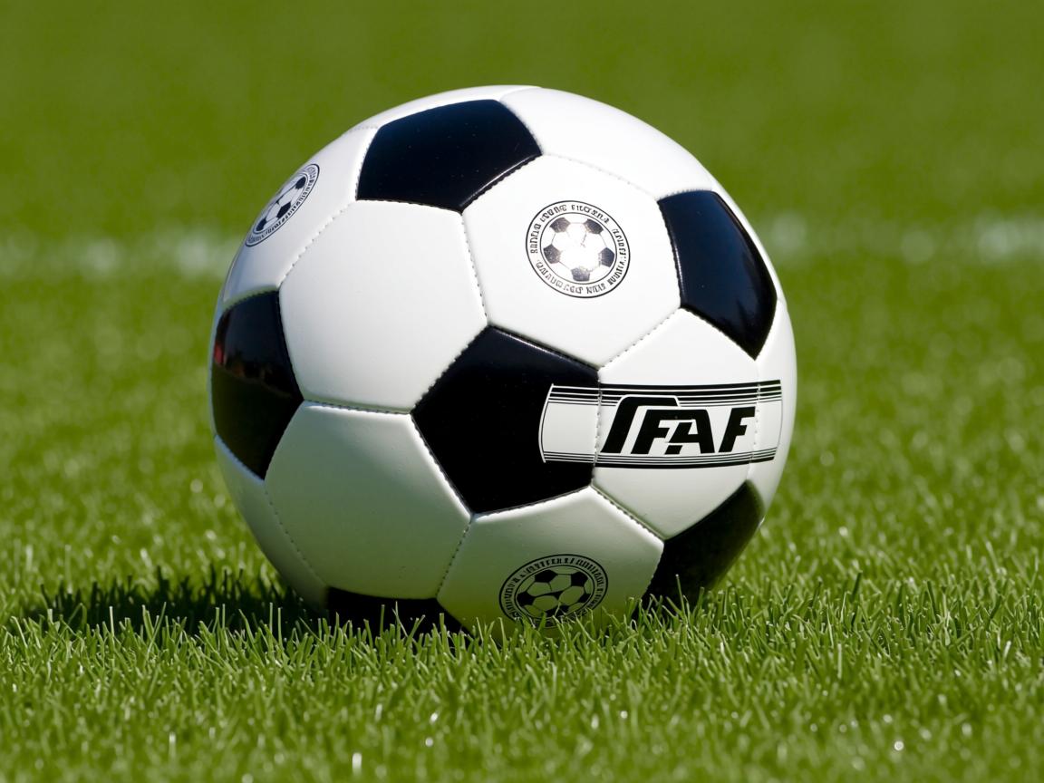 hth·华体会体育-“香港街头，SHO-CHAN Run 2025带来震撼速度冲击”