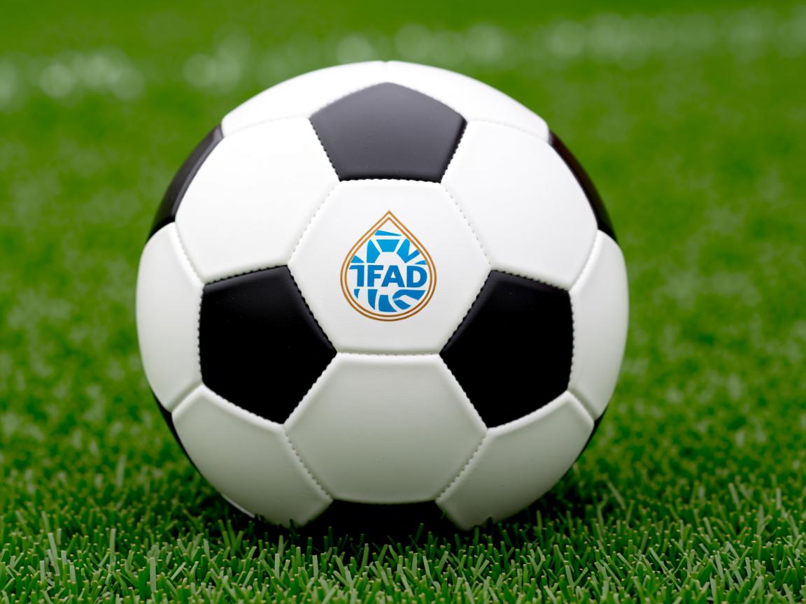 华体会app功能-冬奥冠军助阵青少年滑雪训练营，2020冬季青年奥运会滑雪  第2张