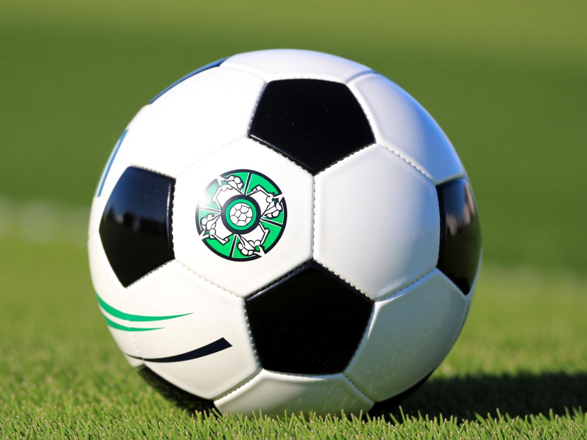 华体会官网-杨瀚森夏季表现稳定备受教练肯定，杨瀚儒简介