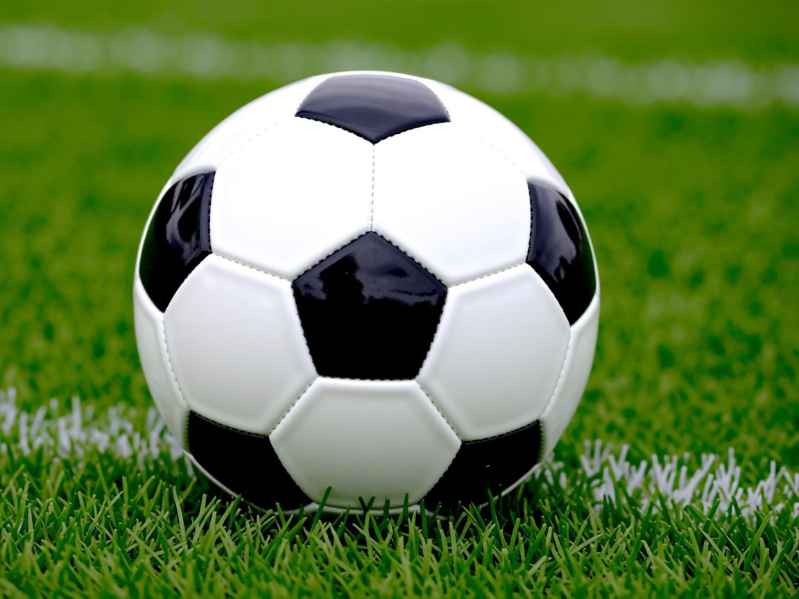 华体会体育平台-田径项目技术提升助力成绩突破，田径竞技能力  第3张