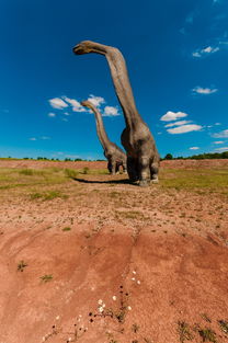 华体会官网体育-滑雪场寒假开放前安全演练全覆盖，滑雪场安全提示牌  第3张